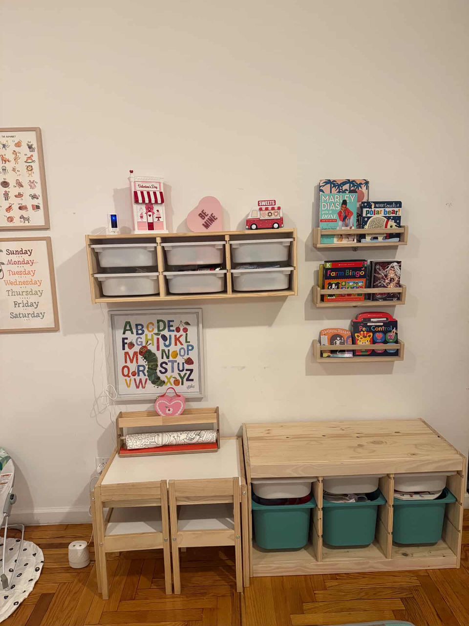 WhatsApp Image 2026-02-24 at 21.24.07 (1)